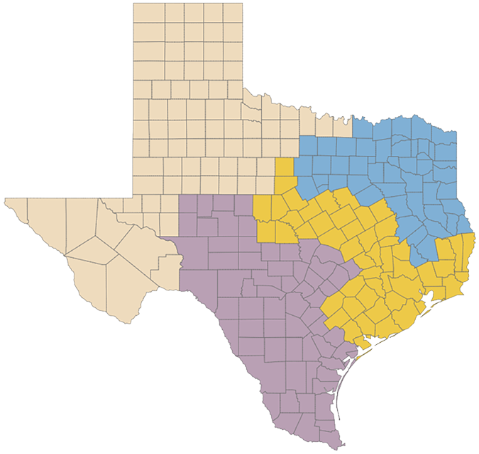 Regiones AVN de Texas