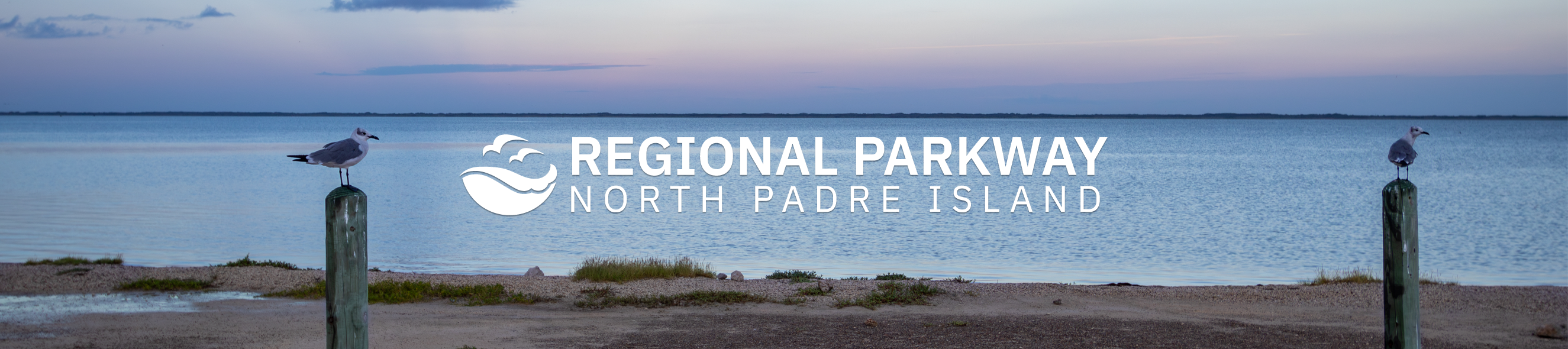 Seagull on post overlooking the Laguna Madre