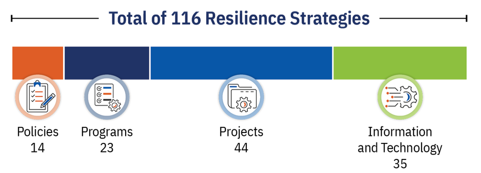 Conjunto de 116 estrategias de resiliencia
14 estrategias políticas
23 estrategias de programas
44 estrategias de proyectos
35 estrategias de información y tecnología