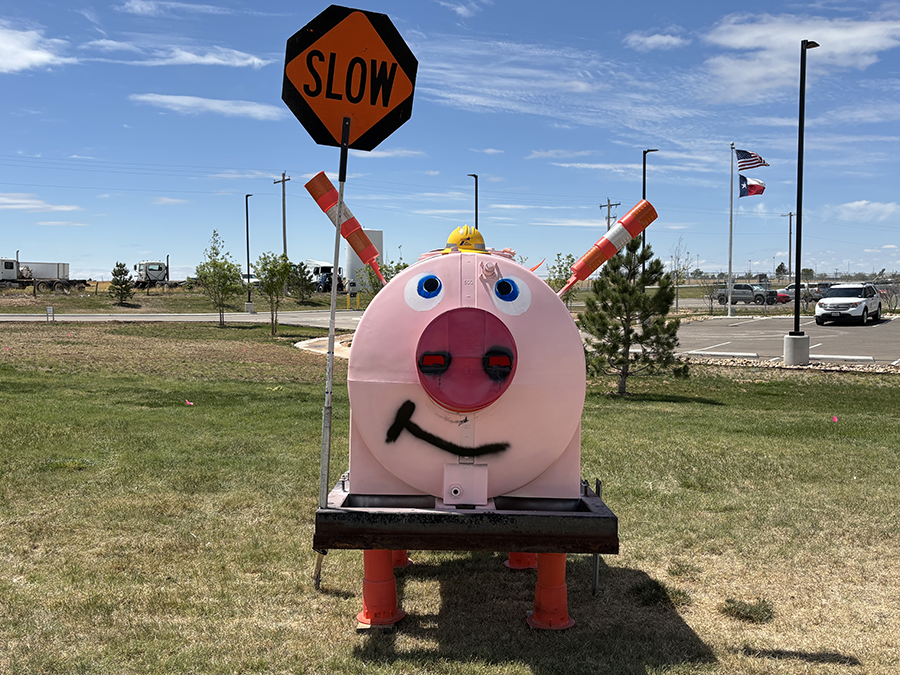 Amarillo pig asking please, slow down. 