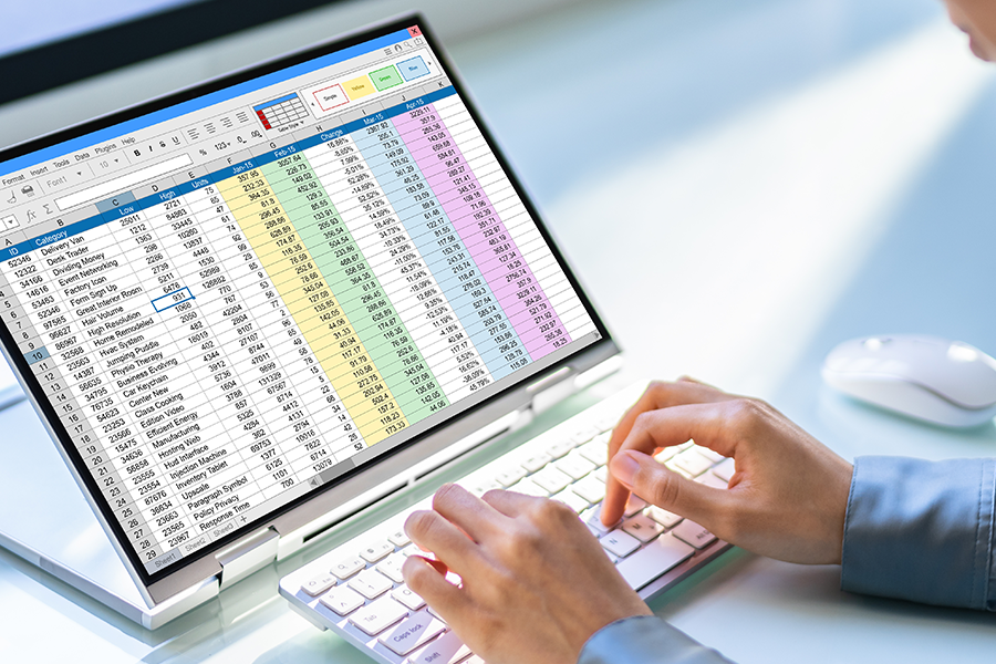 Person working computer spreadsheet