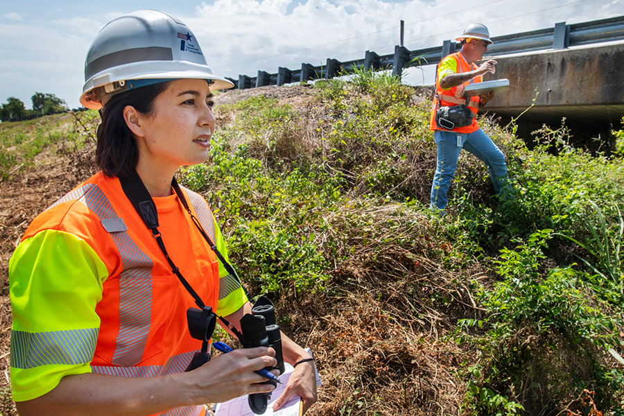 Environmental specialist surveys land