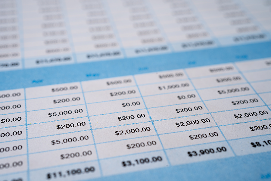 spreadsheet table on screen