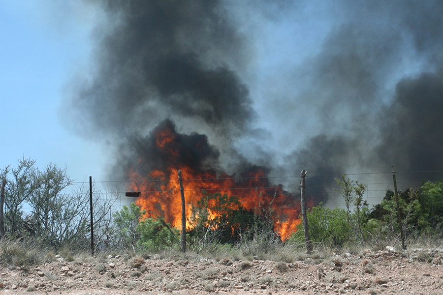 roaring wildfire on horizon